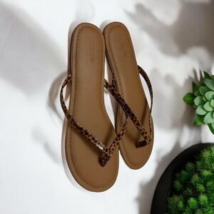 J.Crew Brown Animal Print Thong Flip Flop‎ Sandals Size 10